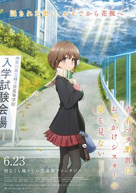 国产手机看片